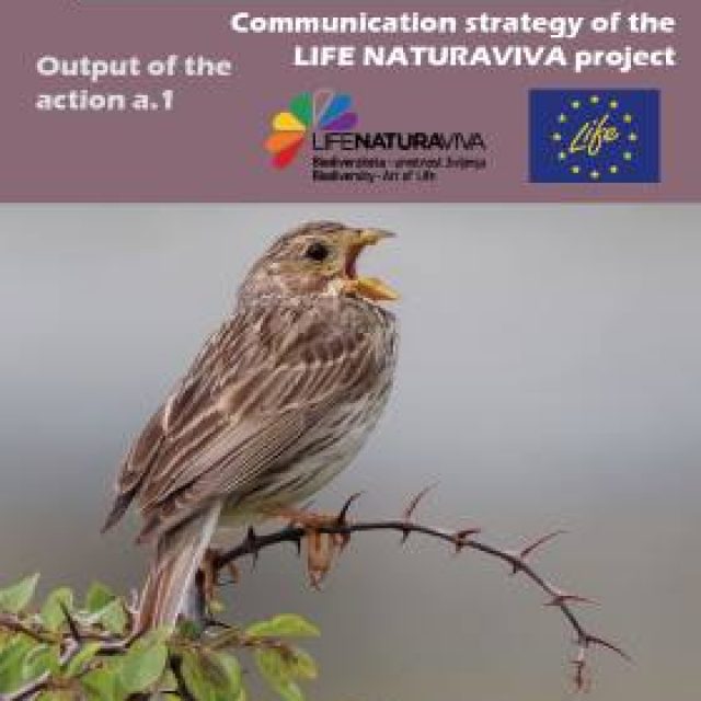 Komunikacijska strategija