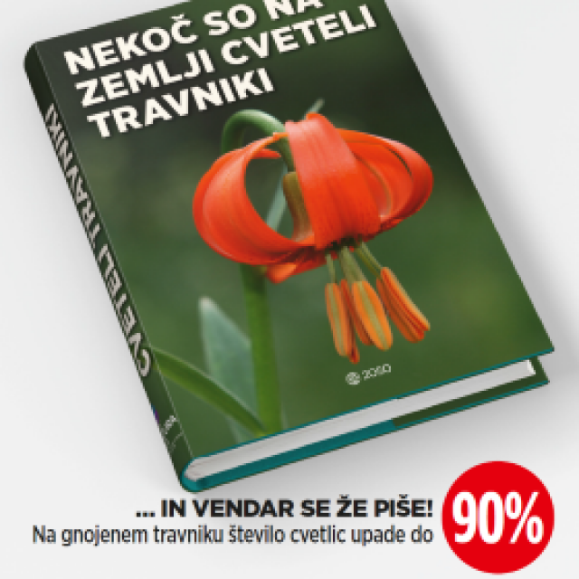 Mestni plakati o ogroženosti biodiverzitete – travniki
