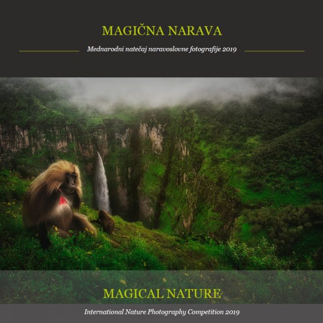 Magična narava 2019